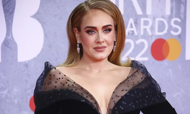 Adele si je prislužila spoštovanje svojih oboževalcev, potem ko je prekinila svoj koncert in branila osebo