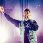 Christian Bertrand / Shutterstock.com