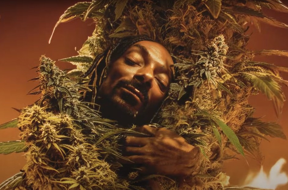 Foto: Snoop Dogg / YouTube Foto: Snoop Dogg / YouTube