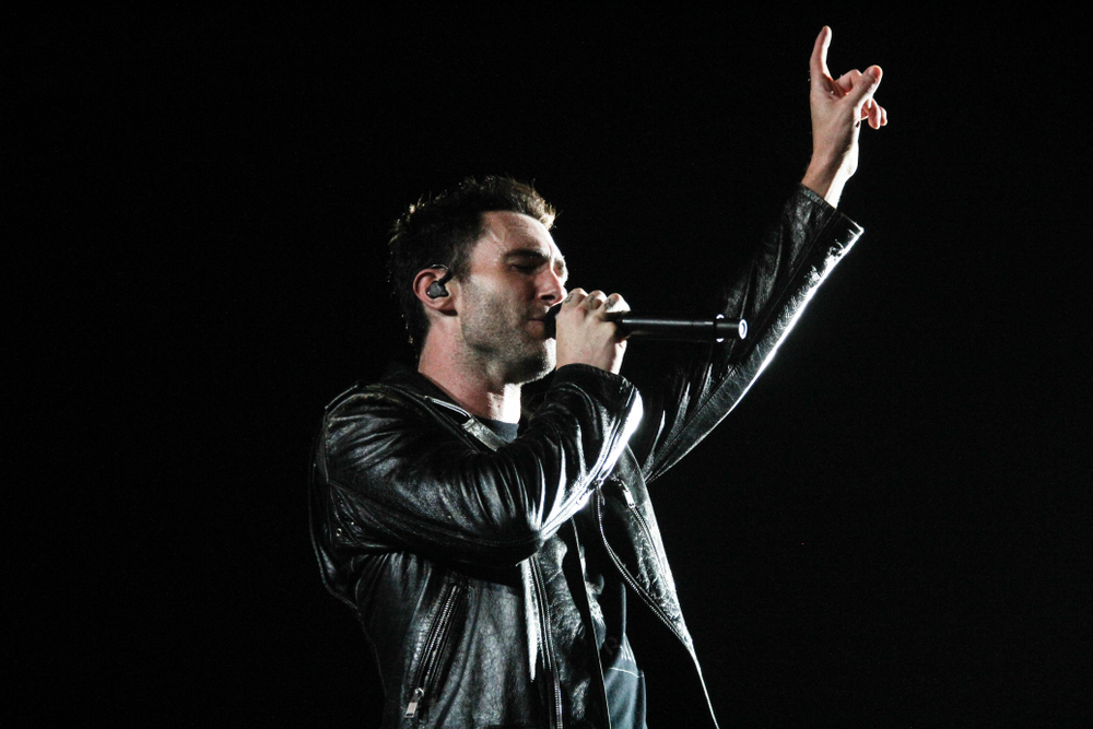 Foto: Andre Luiz Moreira / Shutterstock.com