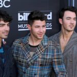 Foto: Kathy Hutchins / Shutterstock.com