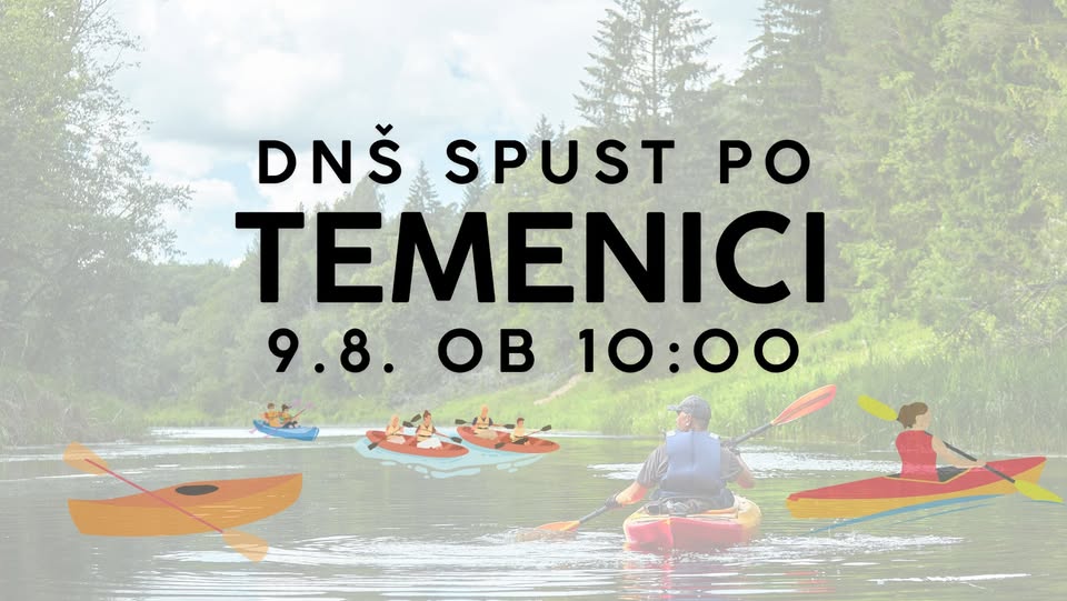DNŠ po Temenici