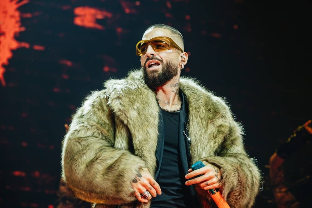 Foto: Anaribphoto / Shutterstock.com