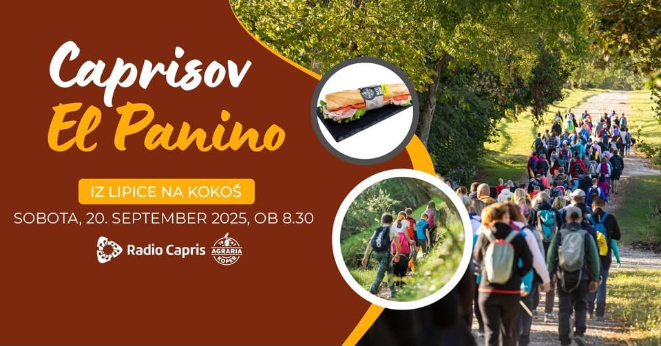 Caprisov El panino: iz Lipice na Kokoš!