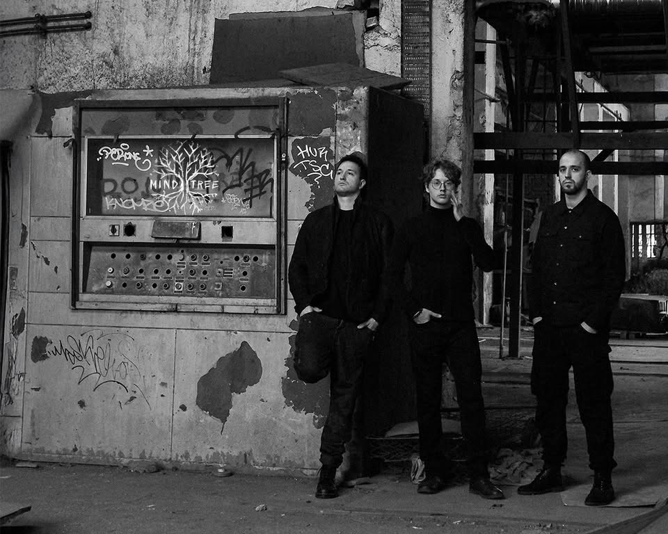 𝐌𝐢𝐧𝐝 𝐓𝐫𝐞𝐞 - 𝐒𝐮𝐢𝐭𝐞 𝐟𝐨𝐫 𝐒𝐡𝐚𝐭𝐭𝐞𝐫𝐞𝐝 𝐃𝐫𝐞𝐚𝐦𝐬 @𝐊𝐚𝐳𝐢𝐧𝐚