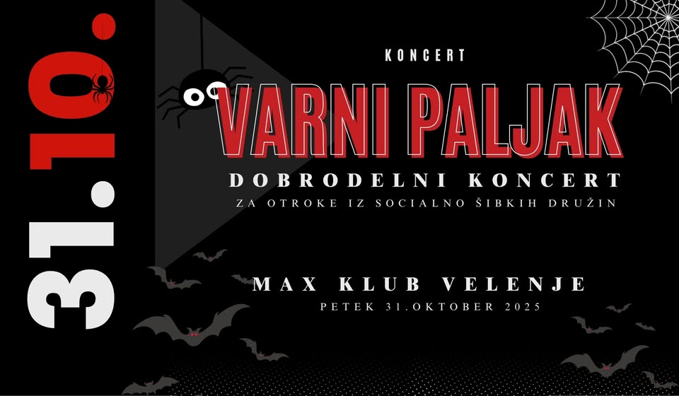 DOBRODELNI KONCERT - VARNI PALJAK
