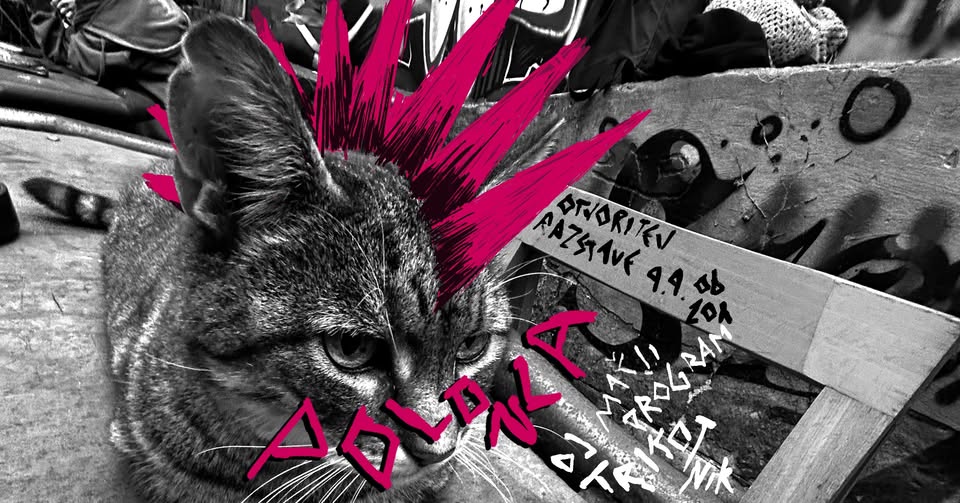 Foto-video razstava: Polonca