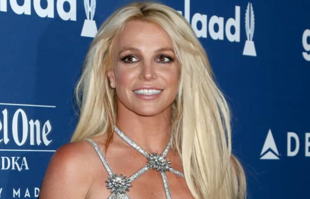 Foto: Kathy Hutchins / Shutterstock.com