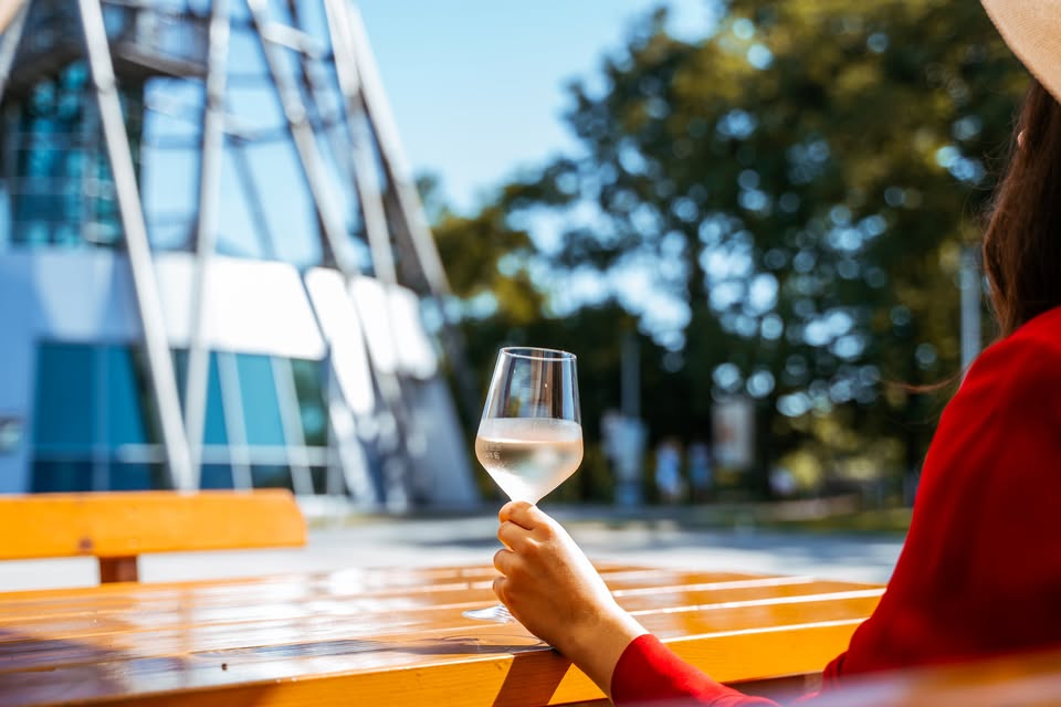 Martinovanje v Lendavi