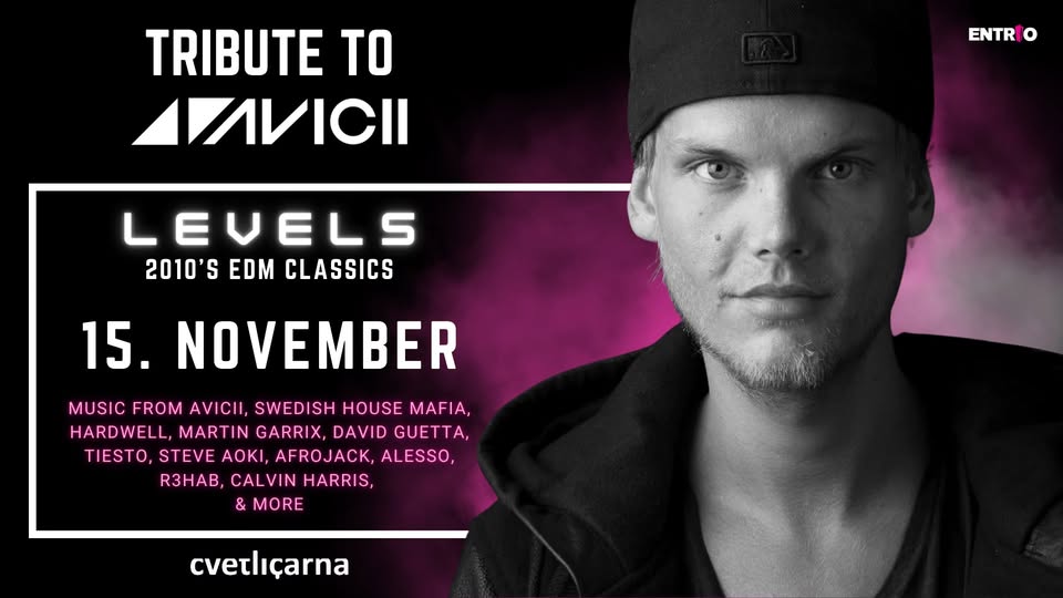 LEVELS Tribute to AVICII - 15. November 2025 [2010's EDM Hits]