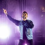 Foto: Christian Bertrand / Shutterstock.com