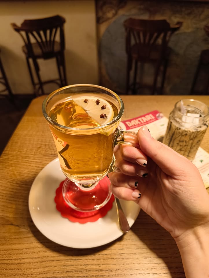 Večer zimskih kokteljov v Daktariju