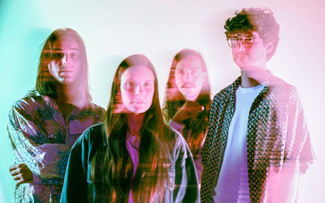 Izštekani Koala Voice v Cankarjevem domu