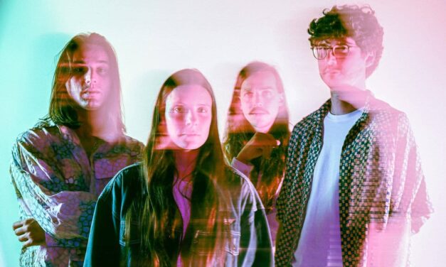 Izštekani Koala Voice v Cankarjevem domu