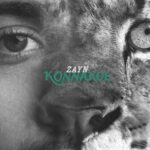 Zayn Malik: Konnakol