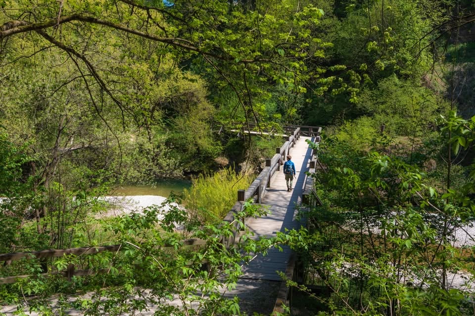 Brezplačno vodenje: Kanjon reke Kokre