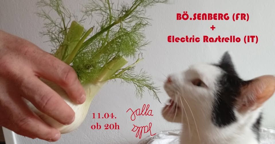 BÖ.SENBERG (FR - indus-minimal-tech) + Electric Rastrello (IT - techno, industrial, funk)