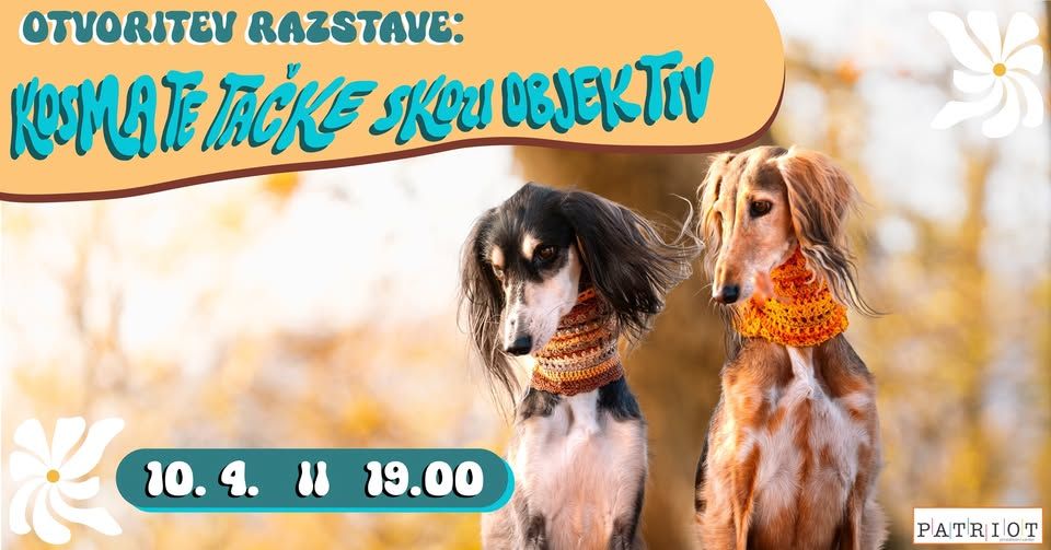 Otvoritev razstave: Kosmate tačke skozi objektiv