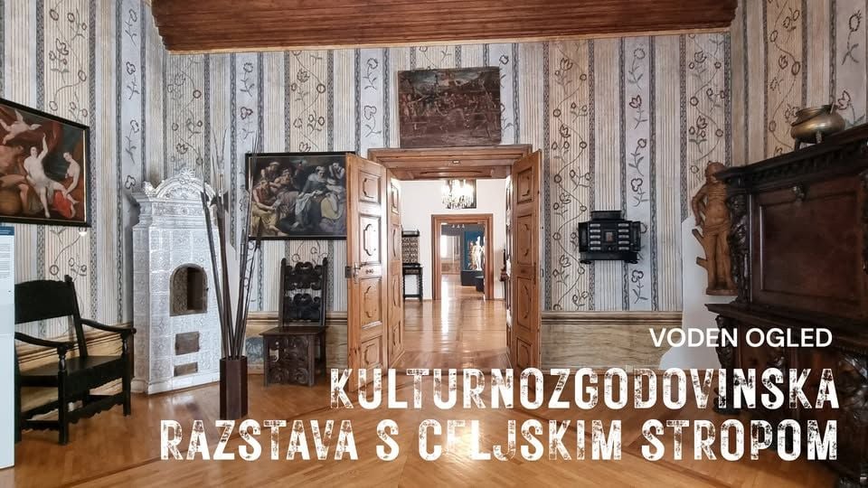 KULTURNOZGODOVINSKA RAZSTAVA S CELJSKIM STROPOM, javno vodstvo