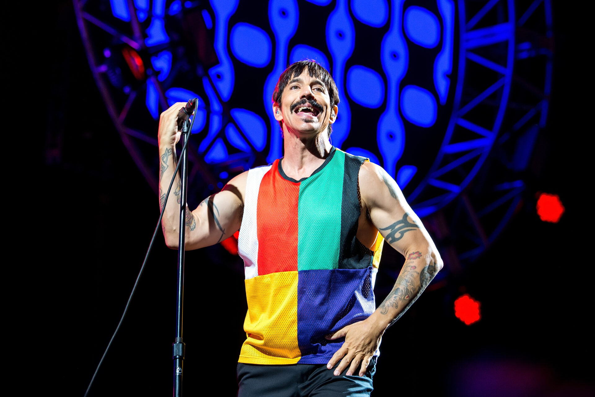 Foto: Christian Bertrand / Shutterstock.com
