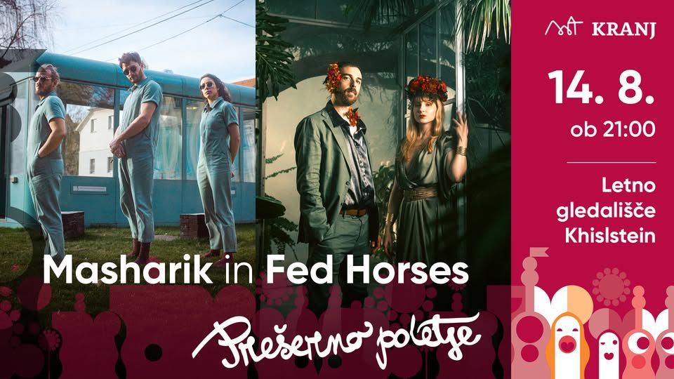 Masharik in Fed Horses