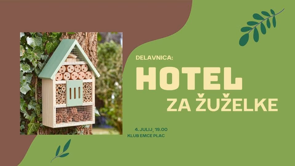 Delavnica: Hotel za žuželke