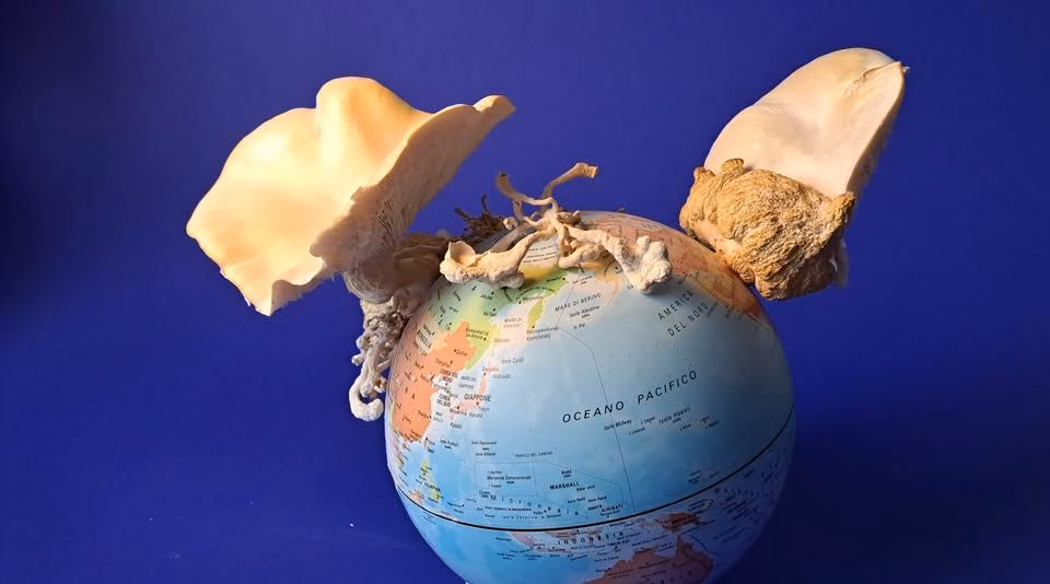 Odprtje razstava Polonca Lovšin: Nove geografije