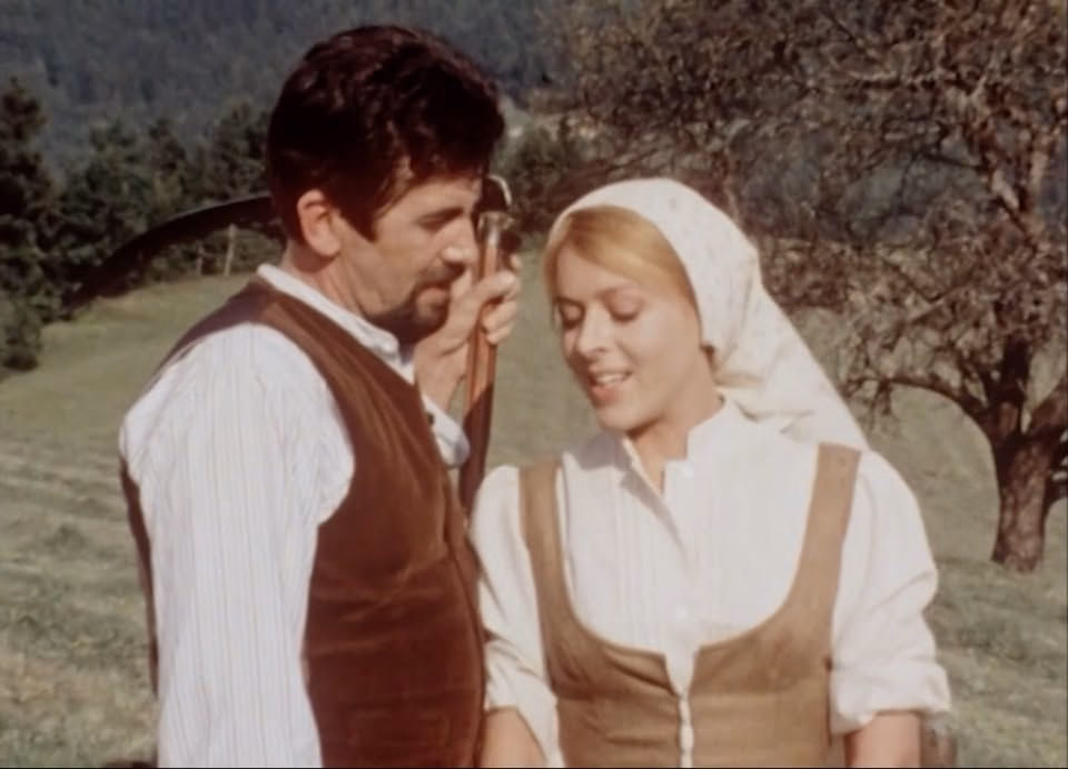 KINO: Cvetje v jeseni